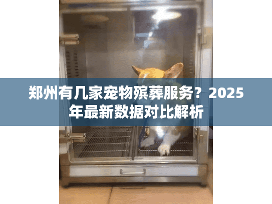 郑州有几家宠物殡葬服务？2025年最新数据对比解析