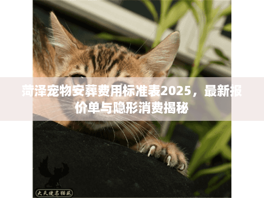 菏泽宠物安葬费用标准表2025，最新报价单与隐形消费揭秘