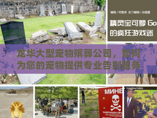 龙华大型宠物殡葬公司，如何为您的宠物提供专业告别服务？