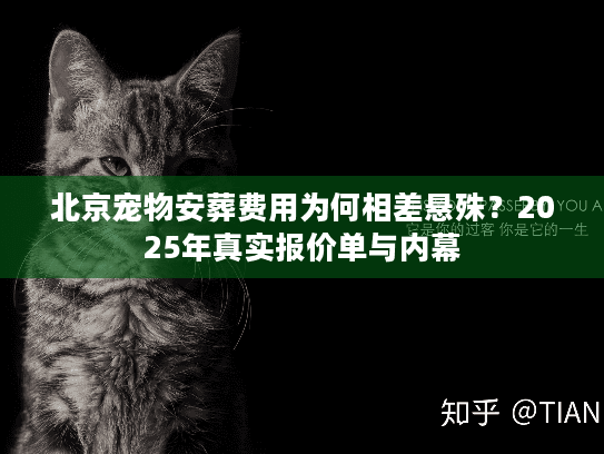 北京宠物安葬费用为何相差悬殊？2025年真实报价单与内幕