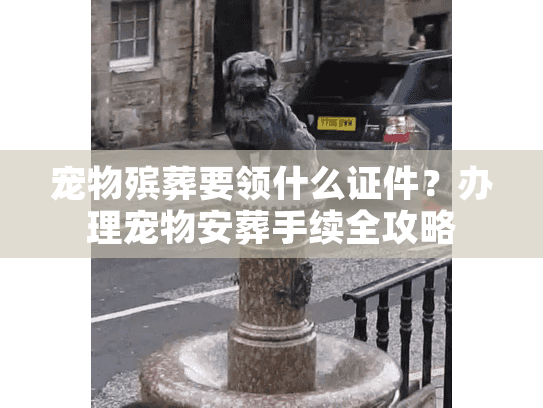宠物殡葬要领什么证件？办理宠物安葬手续全攻略