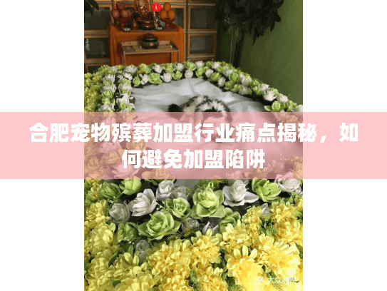 合肥宠物殡葬加盟行业痛点揭秘，如何避免加盟陷阱