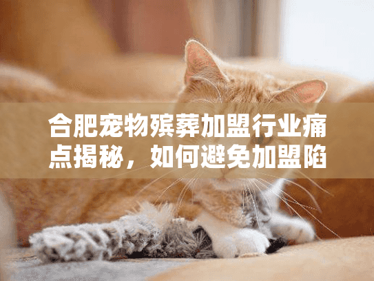 合肥宠物殡葬加盟行业痛点揭秘，如何避免加盟陷阱