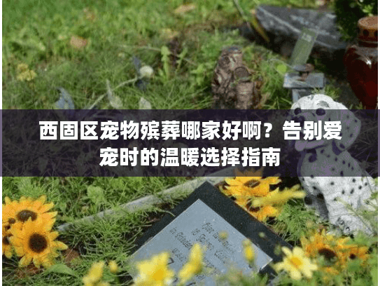 西固区宠物殡葬哪家好啊？告别爱宠时的温暖选择指南