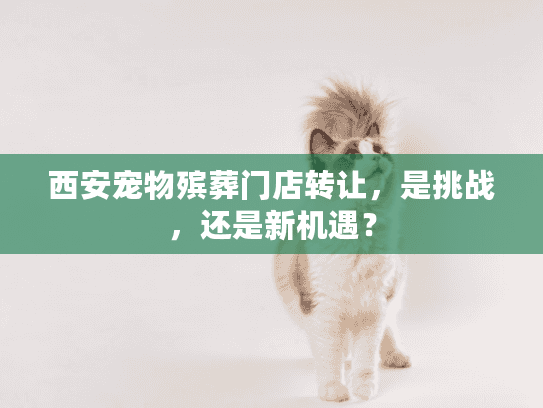 西安宠物殡葬门店转让，是挑战，还是新机遇？