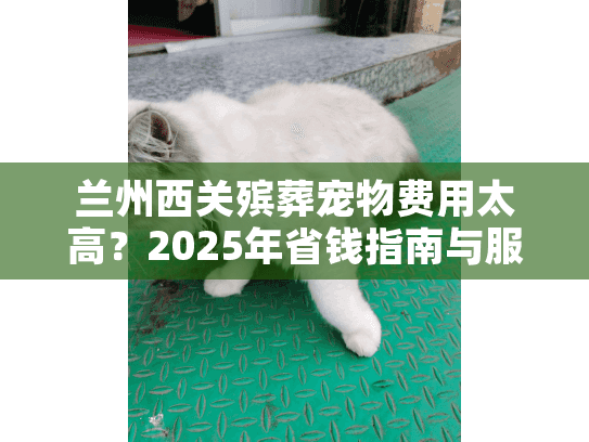 兰州西关殡葬宠物费用太高？2025年省钱指南与服务推荐