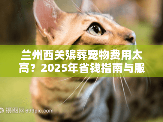 兰州西关殡葬宠物费用太高？2025年省钱指南与服务推荐