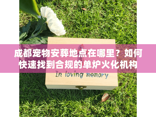 成都宠物安葬地点在哪里？如何快速找到合规的单炉火化机构