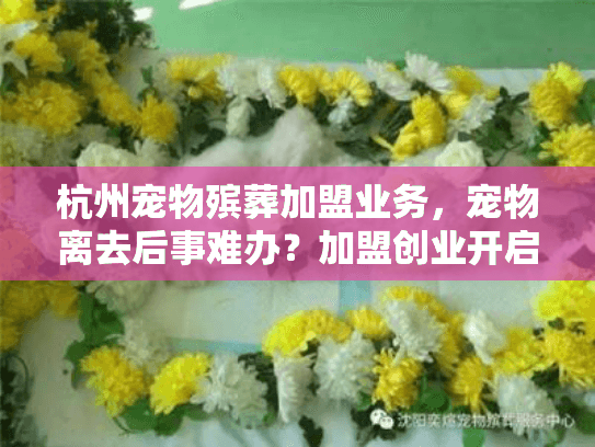 杭州宠物殡葬加盟业务，宠物离去后事难办？加盟创业开启情感慰藉之路