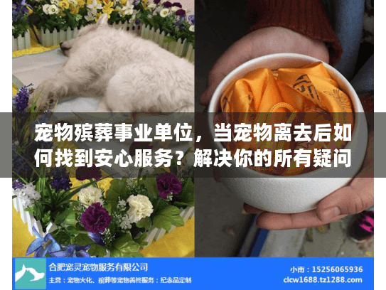 宠物殡葬事业单位，当宠物离去后如何找到安心服务？解决你的所有疑问