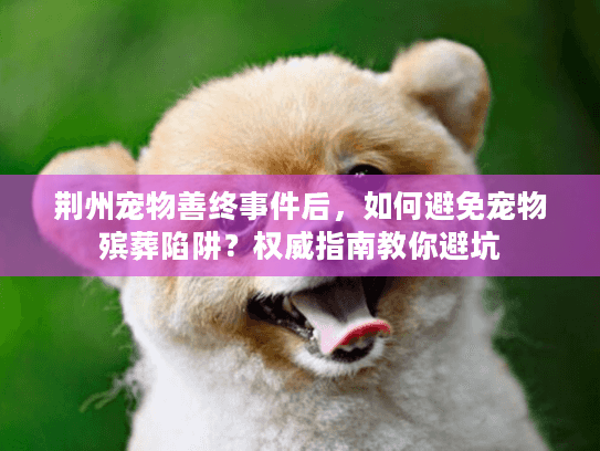 荆州宠物善终事件后，如何避免宠物殡葬陷阱？权威指南教你避坑