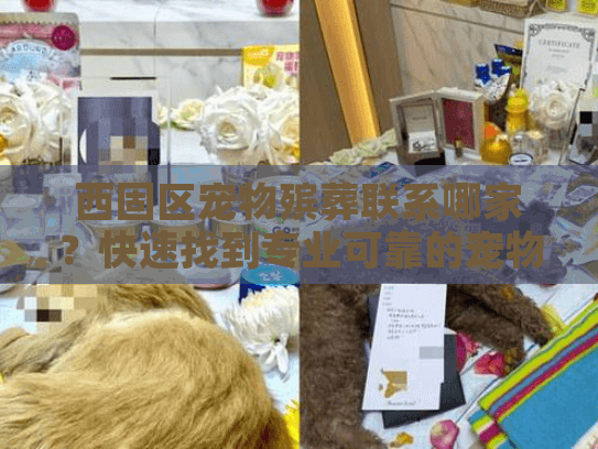 西固区宠物殡葬联系哪家？快速找到专业可靠的宠物殡葬服务提供商