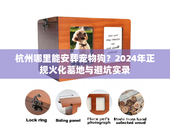 杭州哪里能安葬宠物狗？2024年正规火化墓地与避坑实录