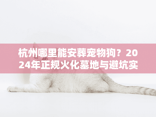 杭州哪里能安葬宠物狗？2024年正规火化墓地与避坑实录