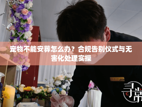 宠物不能安葬怎么办？合规告别仪式与无害化处理实操