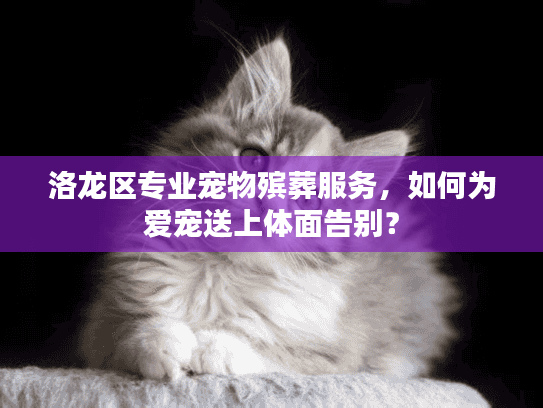 洛龙区专业宠物殡葬服务，如何为爱宠送上体面告别？
