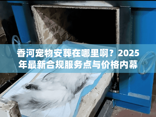 香河宠物安葬在哪里啊？2025年最新合规服务点与价格内幕