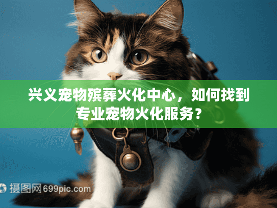 兴义宠物殡葬火化中心，如何找到专业宠物火化服务？