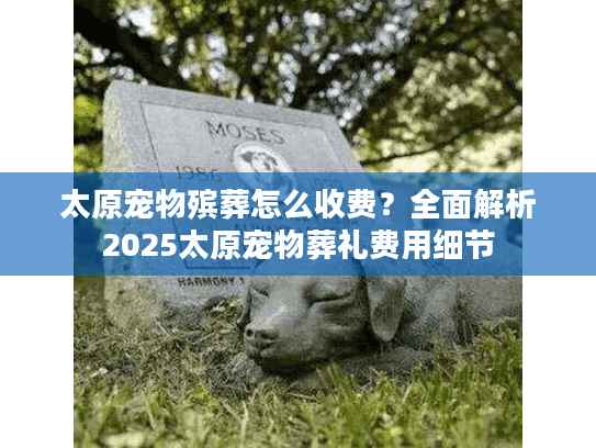 太原宠物殡葬怎么收费？全面解析2025太原宠物葬礼费用细节