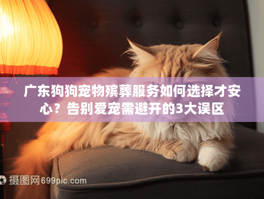 广东狗狗宠物殡葬服务如何选择才安心？告别爱宠需避开的3大误区