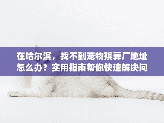 在哈尔滨，找不到宠物殡葬厂地址怎么办？实用指南帮你快速解决问题