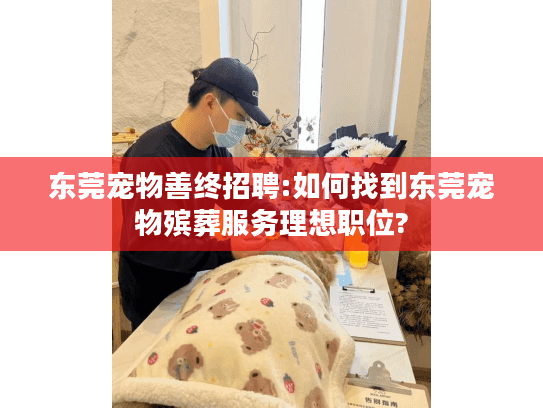 东莞宠物善终招聘:如何找到东莞宠物殡葬服务理想职位?