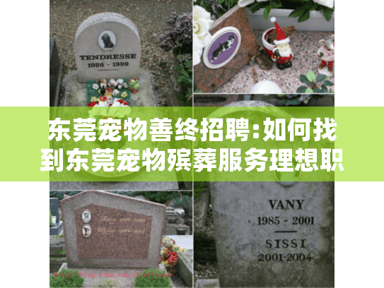东莞宠物善终招聘:如何找到东莞宠物殡葬服务理想职位?