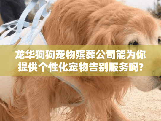 龙华狗狗宠物殡葬公司能为你提供个性化宠物告别服务吗?