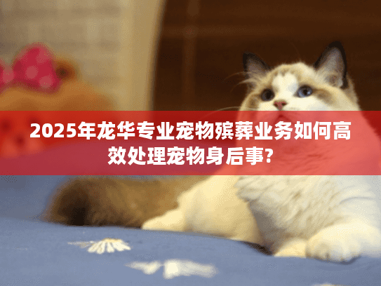 2025年龙华专业宠物殡葬业务如何高效处理宠物身后事?