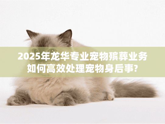 2025年龙华专业宠物殡葬业务如何高效处理宠物身后事?