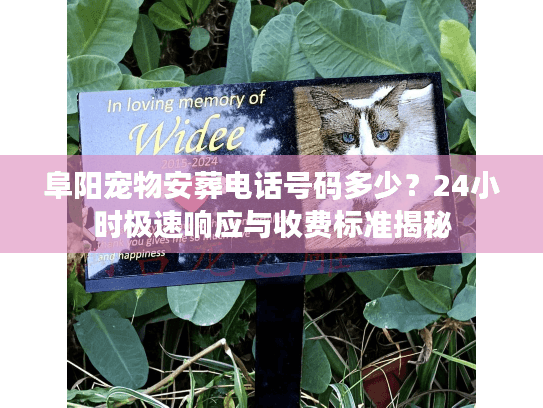 阜阳宠物安葬电话号码多少？24小时极速响应与收费标准揭秘