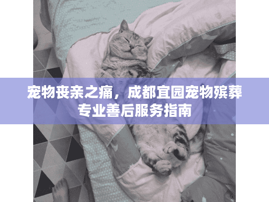 宠物丧亲之痛，成都宜园宠物殡葬专业善后服务指南