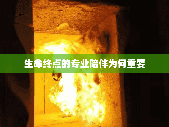 生命终点的专业陪伴为何重要