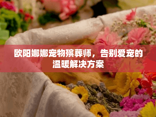 欧阳娜娜宠物殡葬师，告别爱宠的温暖解决方案