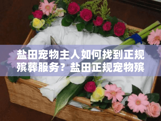 盐田宠物主人如何找到正规殡葬服务？盐田正规宠物殡葬业务指南
