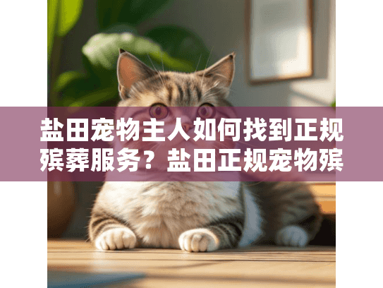 盐田宠物主人如何找到正规殡葬服务？盐田正规宠物殡葬业务指南