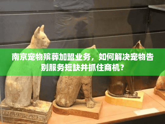 南京宠物殡葬加盟业务，如何解决宠物告别服务短缺并抓住商机？