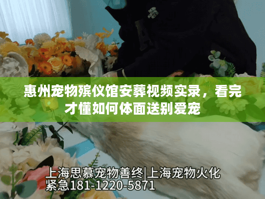 惠州宠物殡仪馆安葬视频实录，看完才懂如何体面送别爱宠