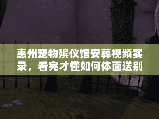 惠州宠物殡仪馆安葬视频实录，看完才懂如何体面送别爱宠