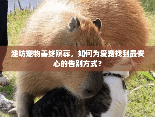 潍坊宠物善终殡葬，如何为爱宠找到最安心的告别方式？