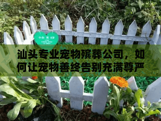 汕头专业宠物殡葬公司，如何让宠物善终告别充满尊严？