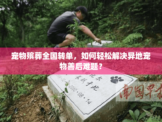 宠物殡葬全国转单，如何轻松解决异地宠物善后难题？