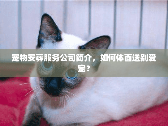 宠物安葬服务公司简介,如何体面送别爱宠? 宠物安葬服务公司简介,如何体面送别爱宠?
