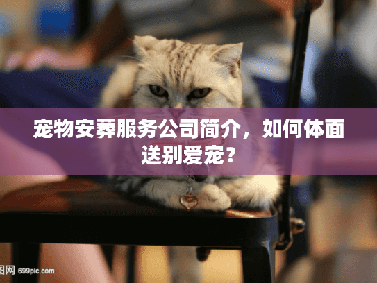 宠物安葬服务公司简介,如何体面送别爱宠? 宠物安葬服务公司简介,如何体面送别爱宠?