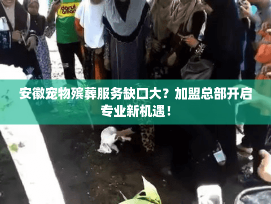 安徽宠物殡葬服务缺口大？加盟总部开启专业新机遇！