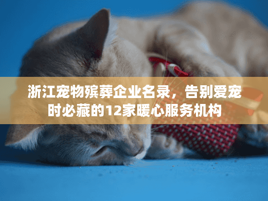 浙江宠物殡葬企业名录，告别爱宠时必藏的12家暖心服务机构