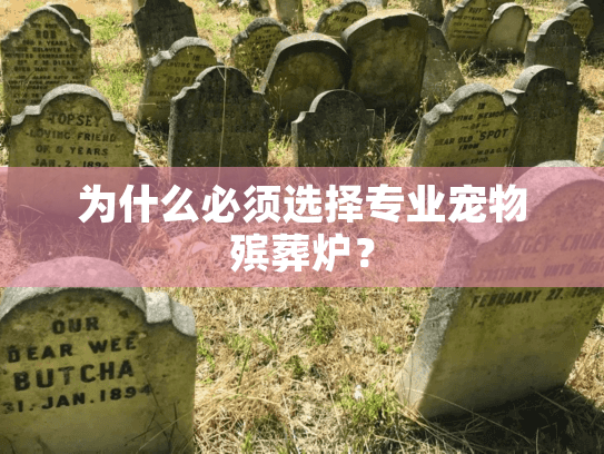 为什么必须选择专业宠物殡葬炉？