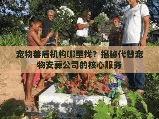 揭秘代替宠物安葬公司的核心服务图片
