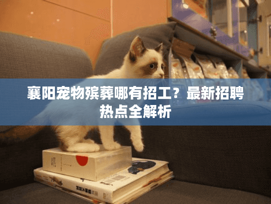 襄阳宠物殡葬哪有招工？最新招聘热点全解析