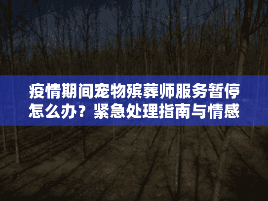 疫情期间宠物殡葬师服务暂停怎么办？紧急处理指南与情感抚慰方案